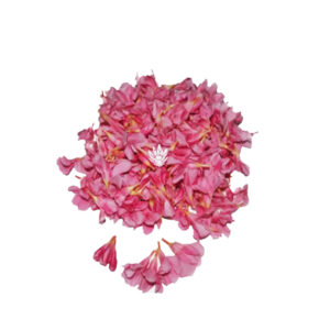 Pooja Flowers - Oleander Pink Flower – 250gm