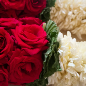 White Chrysanthemum Needle Garland - 1.5ft