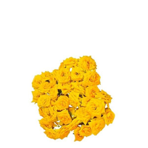 Pooja Flowers - Yellow Rose Flower – 250gm