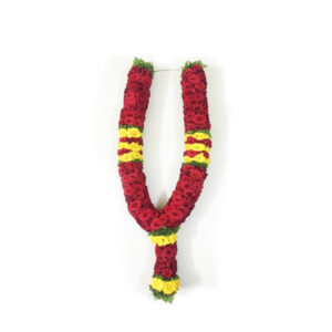 Pooja Flowers - Apple Rose Garland – 2ft Length