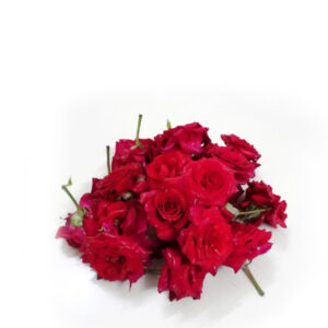 Pooja Flowers - Mirabel Rose Flowers – 250gm