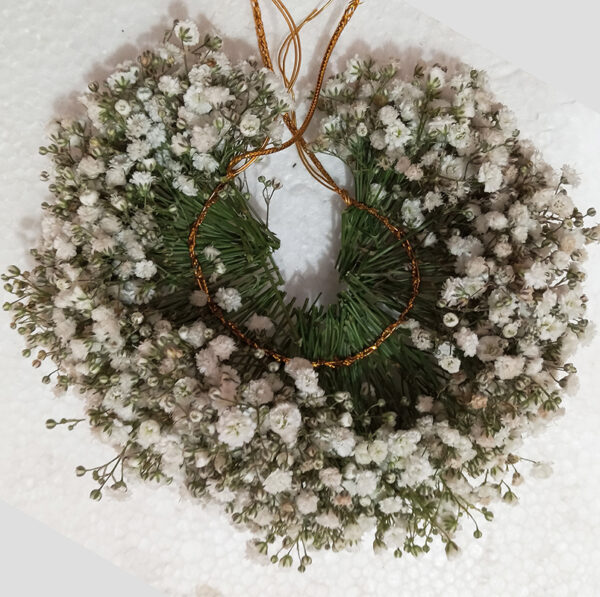 Plain Baby's Breath Veni