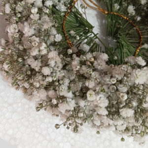 Plain Baby's Breath Veni