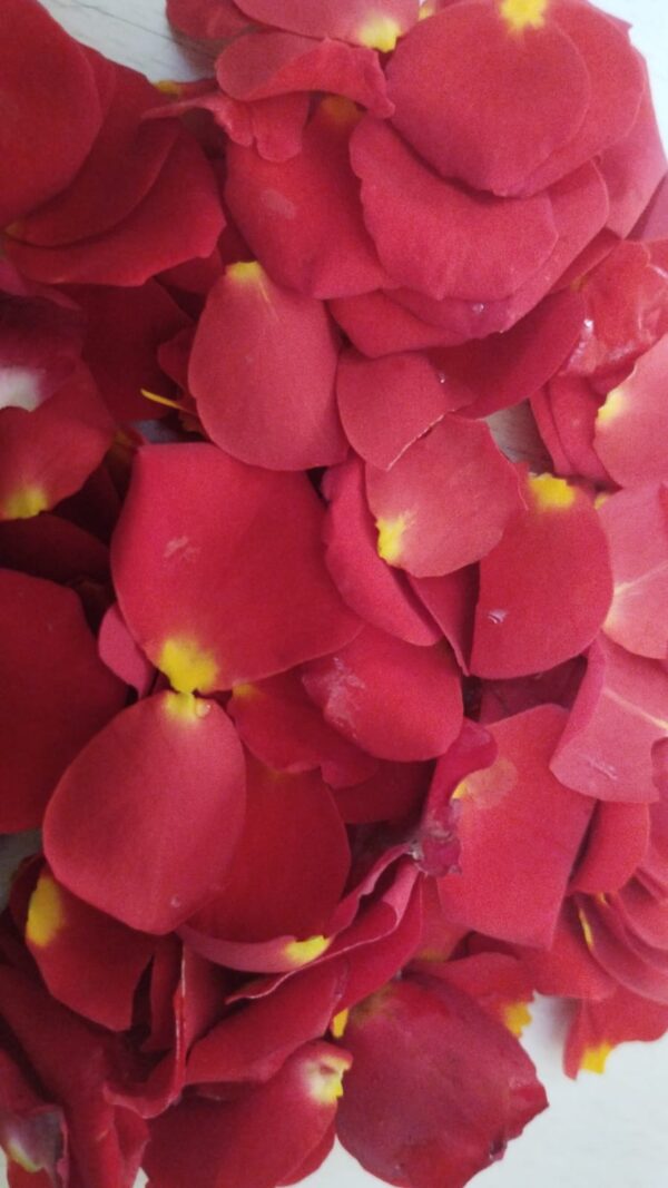 Mirabel Rose Petals - 100gms