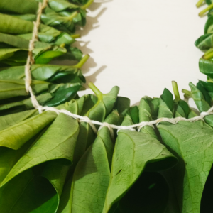 Temple Garland - Betel Leaves