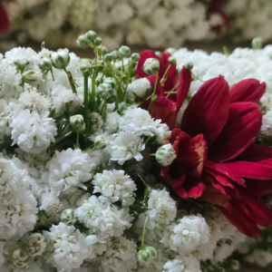 Wedding Garland -Marron Dotted Gypsophila(Baby’s breath)