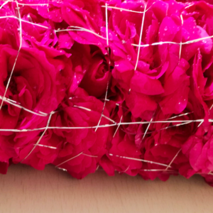 Panner Rose Garland 2ft