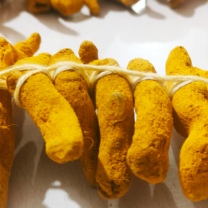 Turmeric Sticks Garland - 2ft