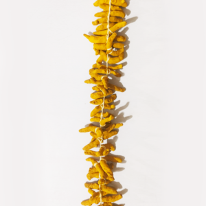 Turmeric Sticks Garland - 2ft