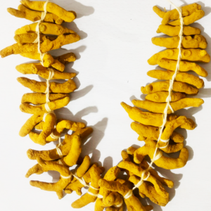 Turmeric Sticks Garland - 2ft