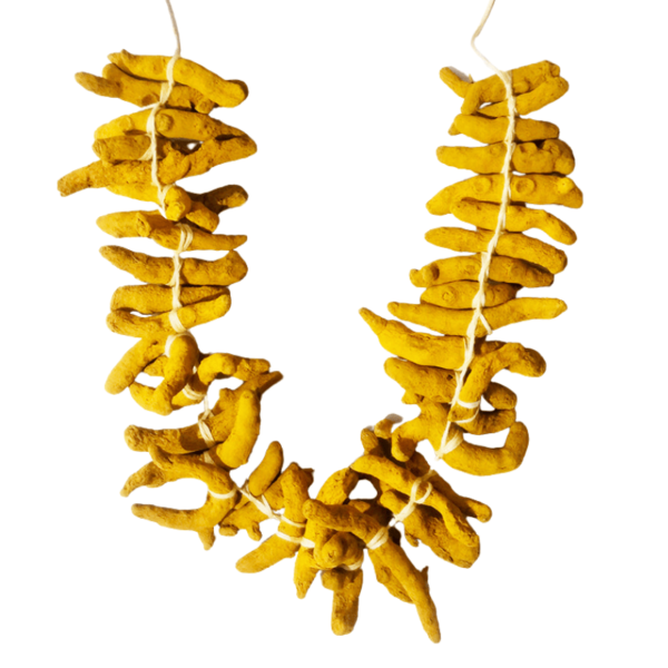 GetFlowersDaily - Turmeric Sticks Garland – 2ft