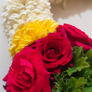 White Chrysanthemum Open Garland - 1.5ft