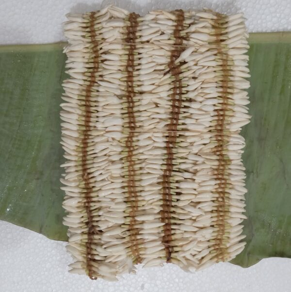 Mangalore Mallige - 12 Strings (480cm)
