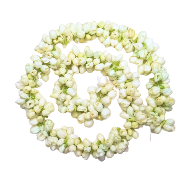 Plain Jasmine String - 40cm