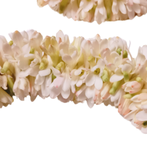 GetFlowersDaily - Plain Tuberose Garland 1.5ft