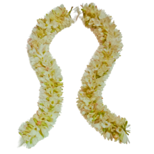 GetFlowersDaily - Plain Tuberose Garland 1.5ft