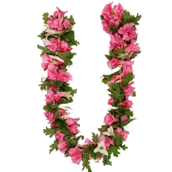 Mix Oleander Strings - 40cm Length