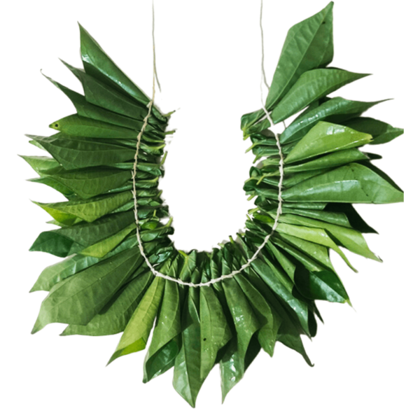 Betel Leave Garland - 2ft