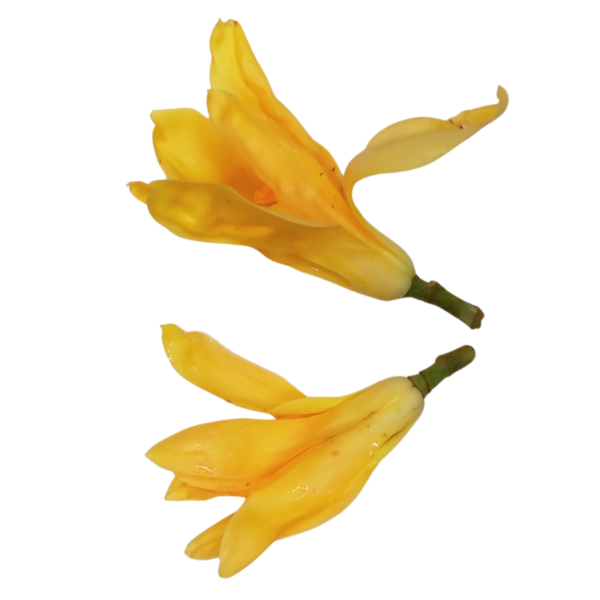 Sampangi flower loose - 250gm (Reserve 24 hours in advance.)
