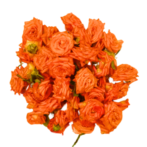 Orange Rose Flowers - 250gms