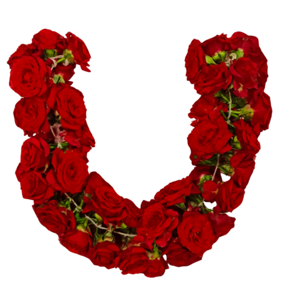 Merable Rose String - 40cm