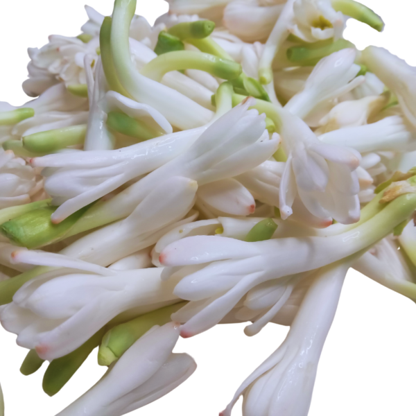 TubeRose Loose Flower - 250gm