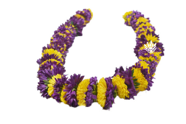 Aster Lavender Mix String - 120cm