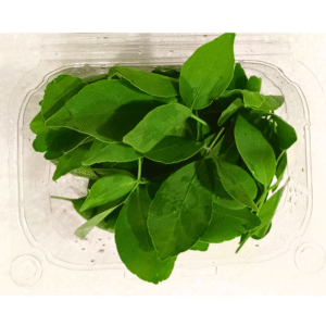 Bilva Loose Leaves - 15gms (121 Leaves)