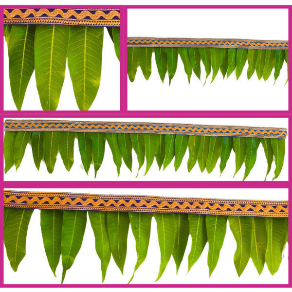 Mango Leave Blue Border String - 3ft