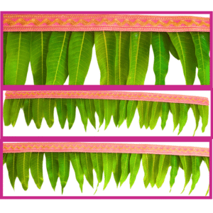 Mango Leaves with Pink Border String - 3ft