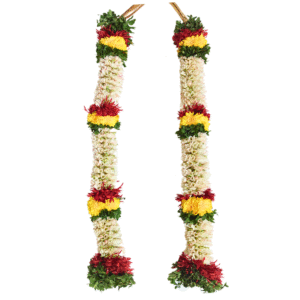 Tuberose with Jungle Germanium, Yellow Chrysanthemum & Tulsi Thomalla - 2ft