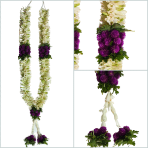 Tuberose with bachelor's button border - GetFlowersDaily